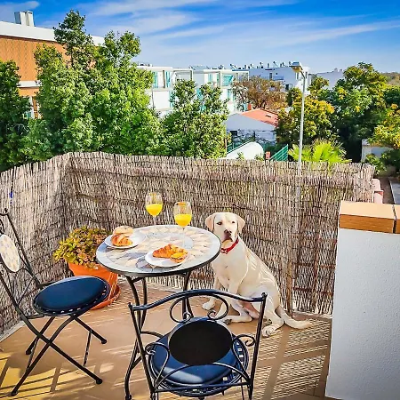 Terraces - Pool And Seaview